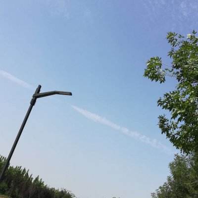 寻情修仙传手游(暂未上线)v1.0 安卓版